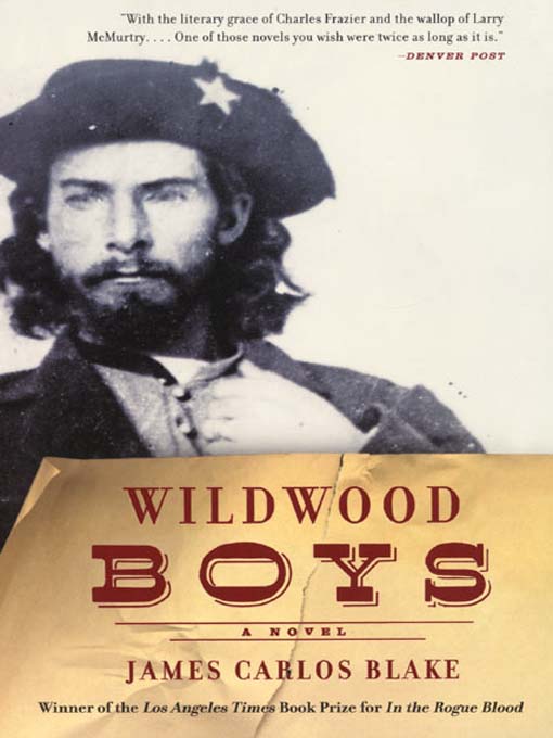Title details for Wildwood Boys by James Carlos Blake - Available